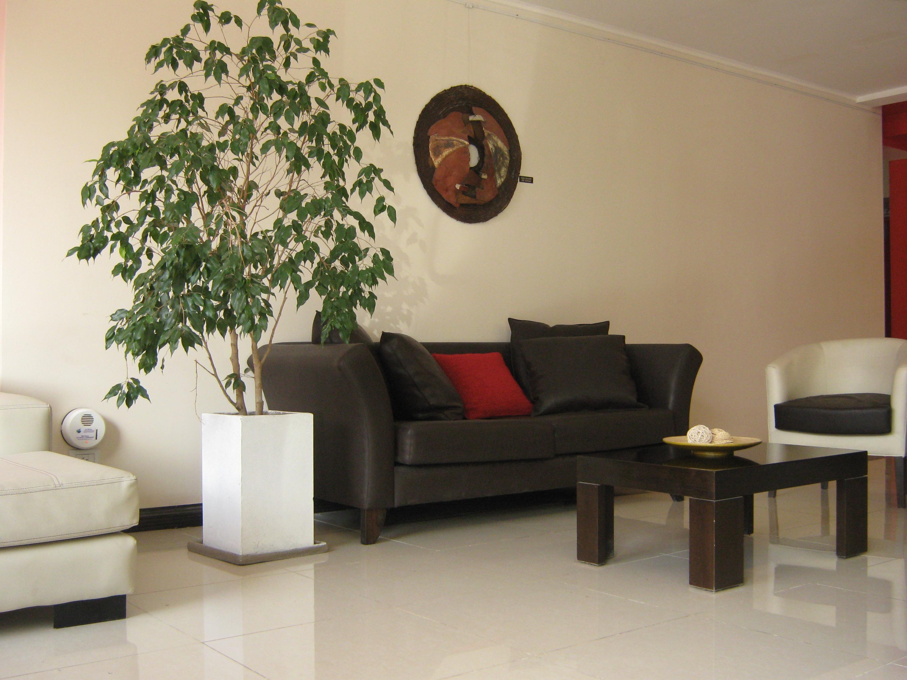 Dakar Hotel Mendoza Buitenkant foto